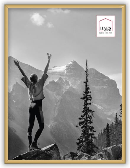 HAES DECO - Kunststof fotolijst 30x40 goud Easy Frame - EF5G
