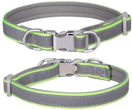 Allecto - Reflecterende nylon halsband - Verstelbare halsbanden voor