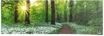 Poster Lentebos - 53 x 158 - Papier - REINDERS