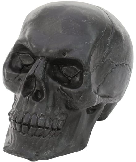 Halloween decoratie Schedel, zwart