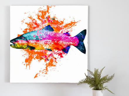Splish splash salmon | Splish Splash Salmon | Kunst - centimeter op | Foto op | Splish splash salmon | Splish Splash Salmon | Kunst - centimeter op | Foto op | Forex | 80 × 80 cm