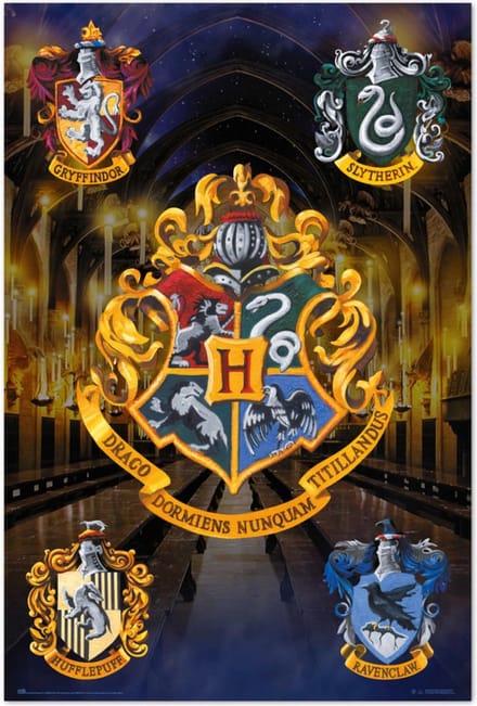 Poster Harry Potter - Escodus Hogwarts 61x91,5cm