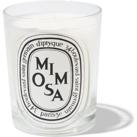 Diptyque Mimosa Classic Candle 190G