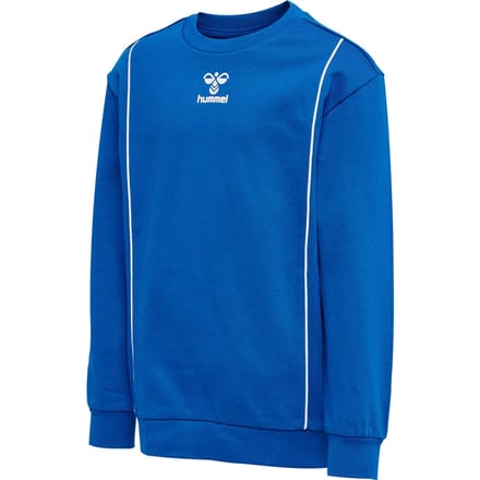 Hummel kindersweatshirt Hmlditmer 213581