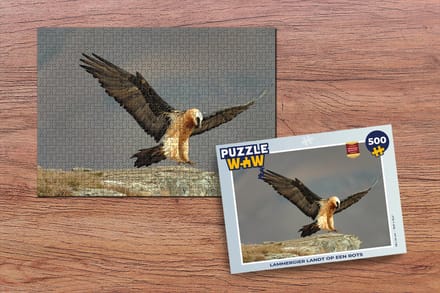 Puzzel Lammergier landt op een rots - Legpuzzel - Puzzel 500 stukjes