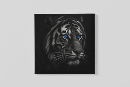 Vierkant Canvas Schilderij Dieren - Wilde Dieren - Tijger met Blauwe Ogen - 100x100 cm