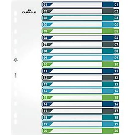 Duurzame index, 20-delig, DIN A4+, indexblad, computerbeschrijfbare index, met gekleurde tabbladen