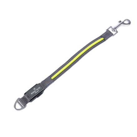 Nomad Tales Spirit USB LED Leiband Verlenging Neon & Grijs M/L: 2,5x39cm hond
