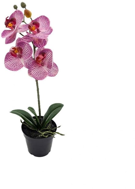 Phalaenopsis Orchidee in pot x1 50 cm Tiger Cerise kunstplant Buite...