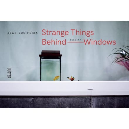 Strange Things Behind Belgian Windows - Jean-Luc Feixa
