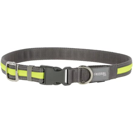 Verlichte hondenhalsband Kerbl Light&Reflex