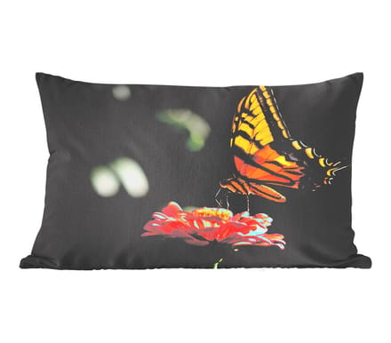 Sierkussens - Kussentjes Woonkamer - 60x40 cm - Vlinder - Botanisch - Bloem