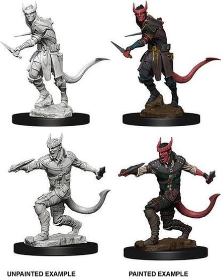 D&D Miniatures Tiefling Male Rogue - EN