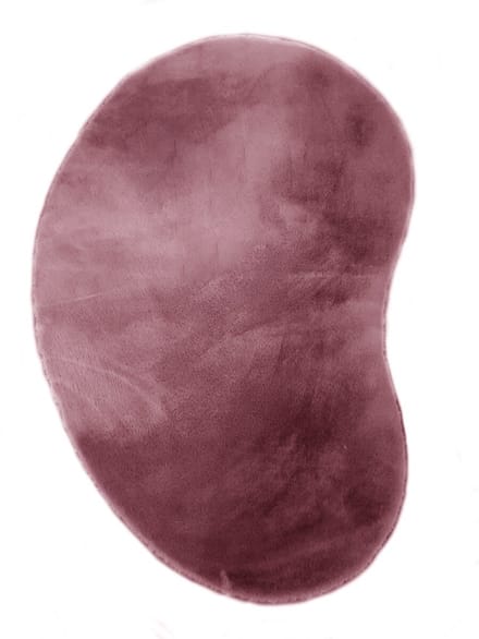 Karpet Fluffy organisch 170x240cm burgundy