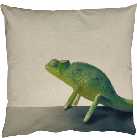 Sierkussens - Kussentjes Woonkamer - 60x60 cm - Kameleon - Groen - Minimalistisch