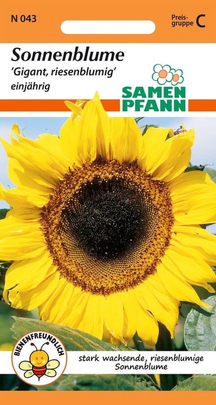Reuzenzonnebloem - Bloemzaden Zonnebloemzaden