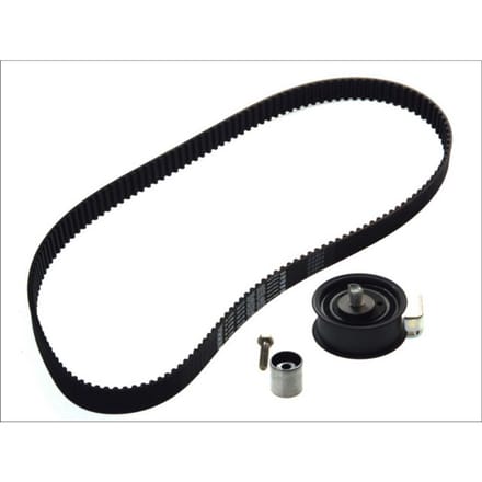 Distributieriemset SKF VKMA 01008