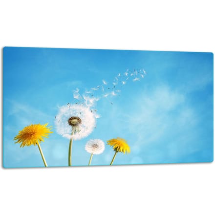 TMK ArtDeko - Snijplank - Glas - 52cm - 30cm - Bloemen