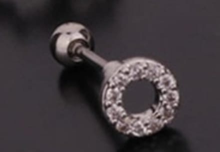 Rondje oorbel / oorpiercing | zilver gekleurd | verkocht per stuk