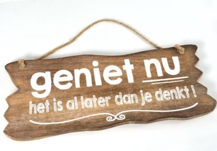 Tekstbord : geniet nu het is later dan je denkt 12x30 cm