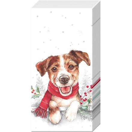 Papieren zakdoek "Louie"
