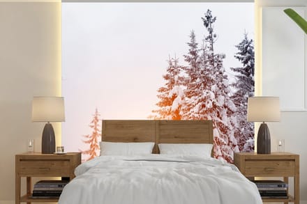 Behang - Fotobehang Zon - Bomen - Sneeuw - Breedte 260 cm x hoogte 260 cm