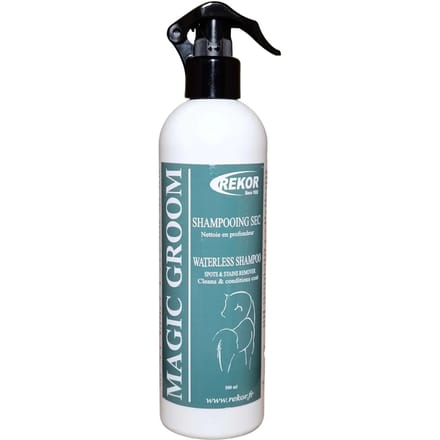 Droogshampoo Rekor Magic Groom
