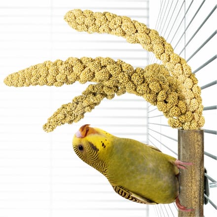 Back Zoo Nature Bamboo Grass Keeper - Vogelspeelgoed - 3x3x20 cm