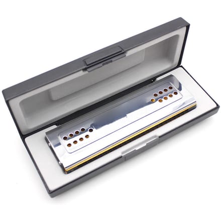Nieuwe Swan dubbelzijdige Tremolo mondharmonica mondsleutel C&G 24 gaten + gevoerde doos gray