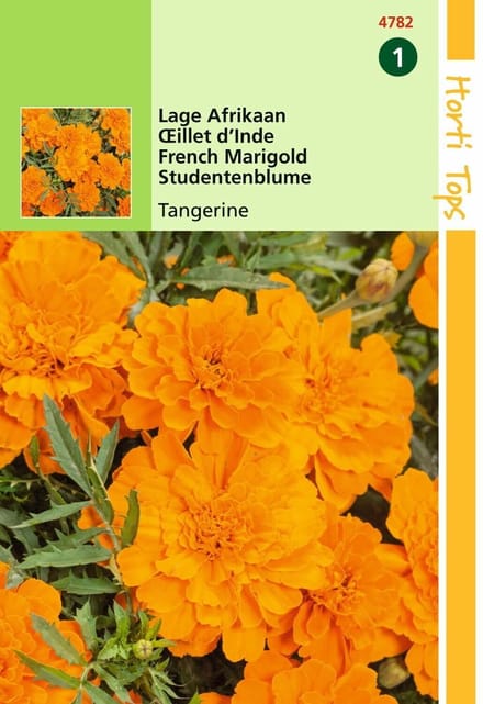 2 stuks - Hortitops - Tagetes Patula Nana Tangerine