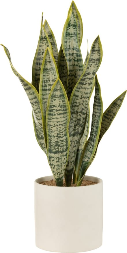 J-Line plant Sansevieria In Pot - kunststof - groen - extra large