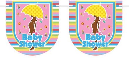 Gekleurde babyshower vlaggenlijn 6 meter
