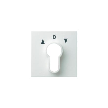 Gira Systeem 55 Besturingselement/Centrale plaat Schakelmateriaal - 066403 - E2FVX