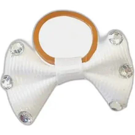 Paardenknoop Equithème Strass transparent