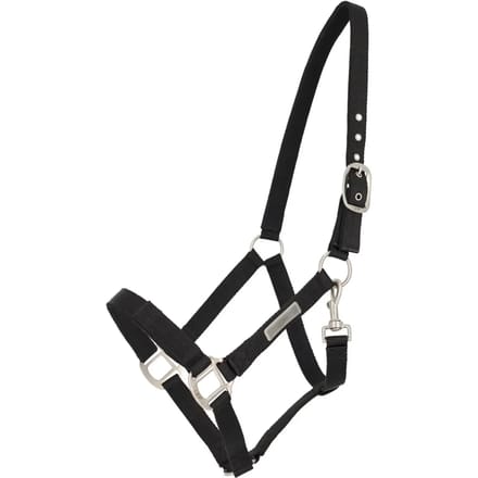 Halsband voor het aanspannen van een paard QHP