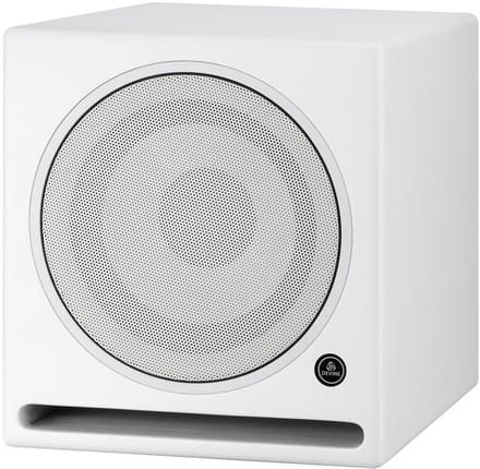 Actieve studio subwoofer 10 inch - Devine RX-10SA - Multikleur