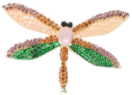 Go Dutch Label Broche Small Dragonfly Multi