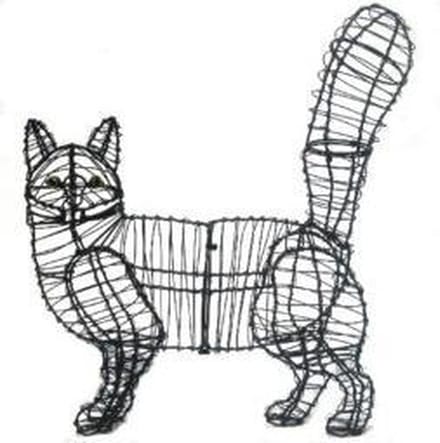 Kat Lopend - Frame