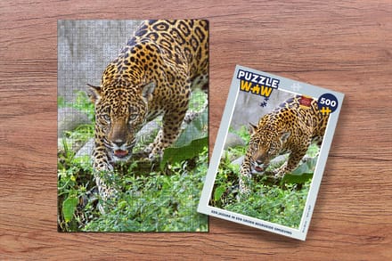 Puzzel Jaguar - Jungle - Groen - Legpuzzel - Puzzel 500 stukjes