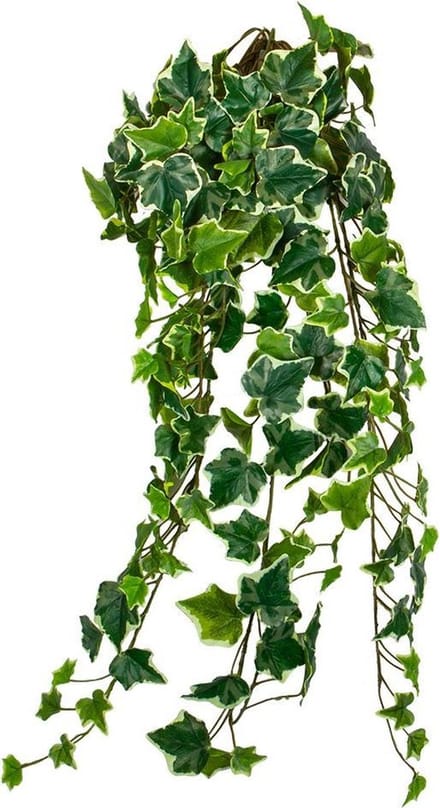 HTT Decorations - Kunstplant Hedera bont L80 cm kunstplanten