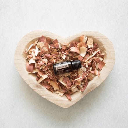 doTERRA Cedarwood (Cederhout) | 15ml | Etherische Olie