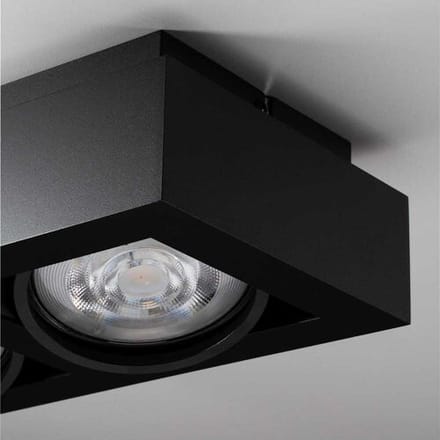 Castor nero II by LUSENZ - Rechthoekige 2-lichts plafondlamp met richtbare spots en matzwarte coating