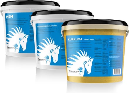 Gewrichten pakket paard groot