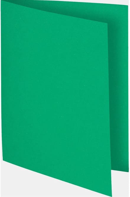 Exacompta 10x FLASH 80 - Pak van 100 inlegmappen - Groen - 150004E