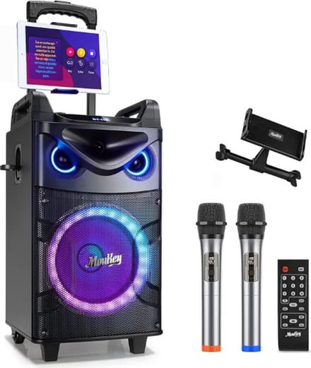 Complete Karaoke Set – Voor Volwassenen – Met 2 Microfoons – Draadloze Microfoons – Bluetooth – Afstandsbediening – 10 Inch Woofer – LED