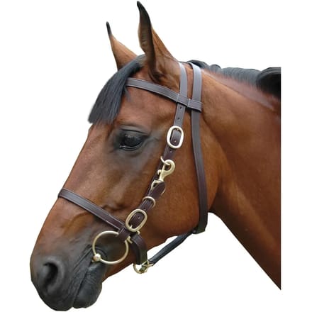 Hoofdstellen, groot halster Canter