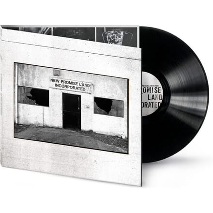 Temperance Movement, The LP - New Promise Land Incorporated - voor Geen - standaard