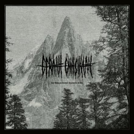 Efraah Enhsikaah - One Thousand Vultures Waiting To Be Fed (CD)