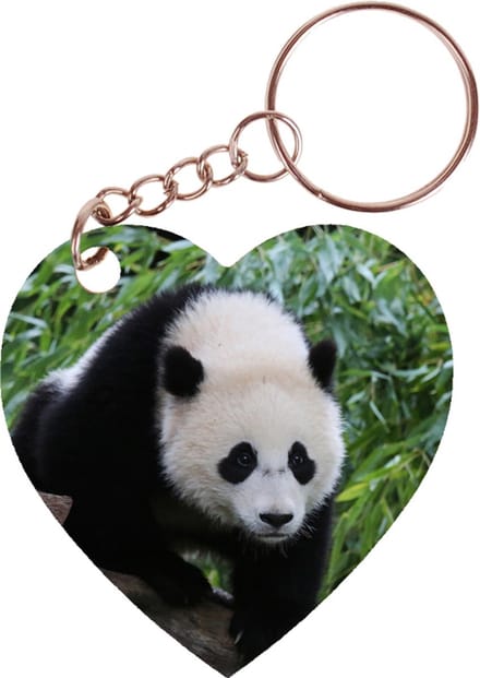 Sleutelhanger hartje 5x5cm - Panda Beer op Boom