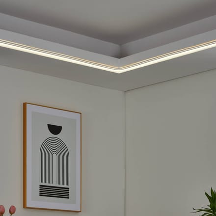 EGLO connect.z Neon Stripe Z Smart LED Strip - 300 cm - Instelbaar RGB & wit licht - Dimbaar - Zigbee